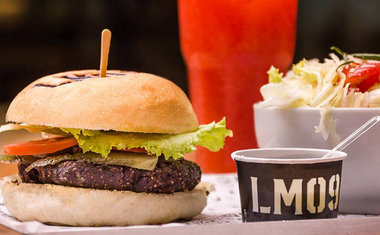 Imagem de destaque para LM09
