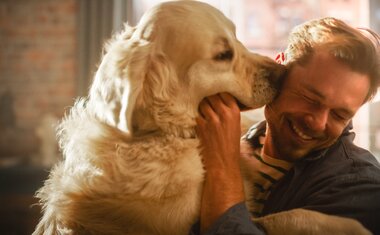 Imagem de destaque para Descubra qual é o segredo para fortalecer o vínculo com o seu cachorro