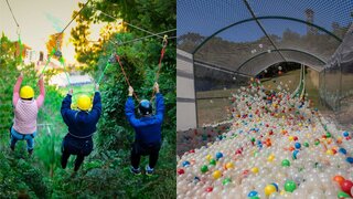 Viagens Nacionais: 5 motivos para ar as férias de verão em Campos do Jordão