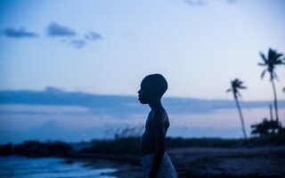 moonlight.jpg