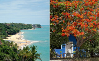 TRANCOSO