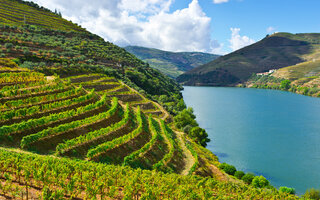 Douro | Portugal e Espanha