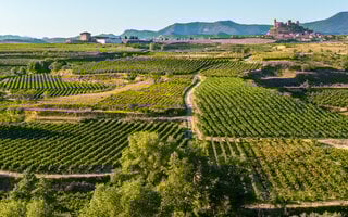 La Rioja