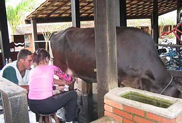 Imagem de destaque para Fazenda Campo dos Sonhos