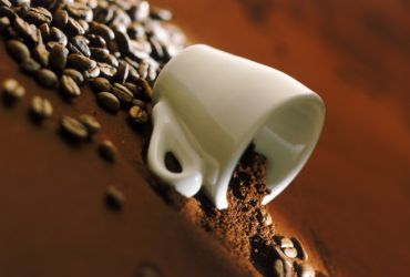 Imagem de destaque para Alamedas Café