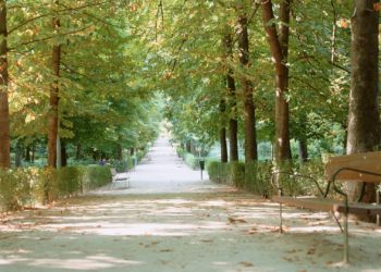 Imagem de destaque para Parque Germânia