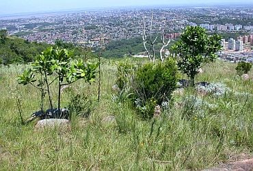Imagem de destaque para Morro Santana