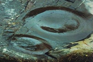 Imagem de destaque para Síto arqueológico da Joaquina