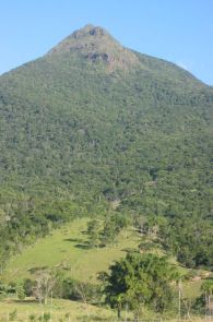 Imagem de destaque para Pico do Cambirela