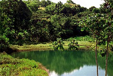 Imagem de destaque para Parque Olhos D´Água