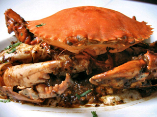 Imagem de destaque para Ancoradouro