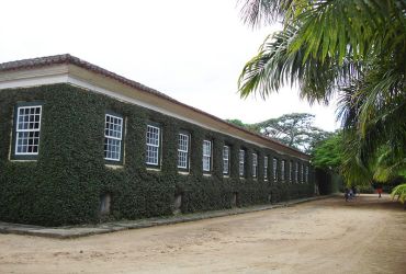 Imagem de destaque para Casa de Hera