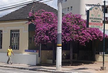 Imagem de destaque para Confeitaria Vó Guilhermina Francisca