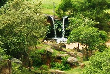 Imagem de destaque para Fazenda Cana Verde