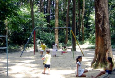 Imagem de destaque para Parque dos Eucaliptos