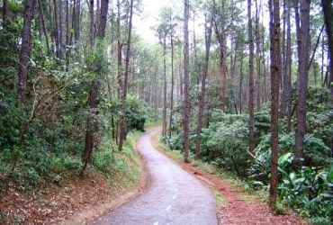 Imagem de destaque para Parque Anhanguera