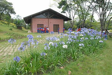 Imagem de destaque para Horto Municipal Burle Marx