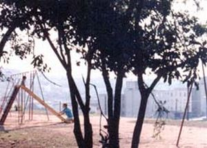 Imagem de destaque para Parque Raul Seixas