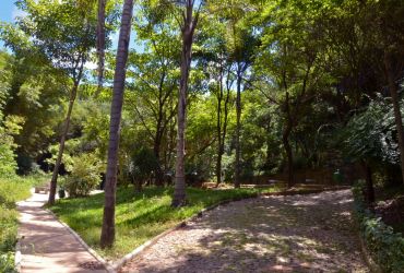 Imagem de destaque para Parque Municipal Mata das Borboletas