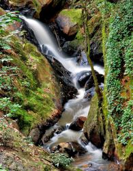 Imagem de destaque para Recanto da Cascata - São Roque