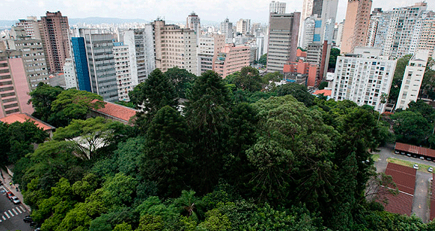 Imagem de destaque para Parque Municipal Augusta