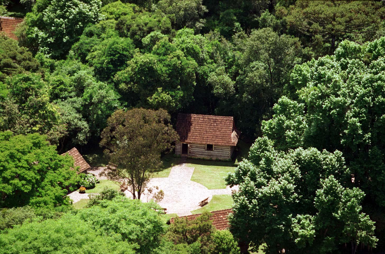 Imagem de destaque para Bosque do Papa