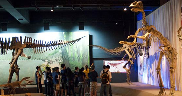 Imagem de destaque para Museu de Ciências Naturais
