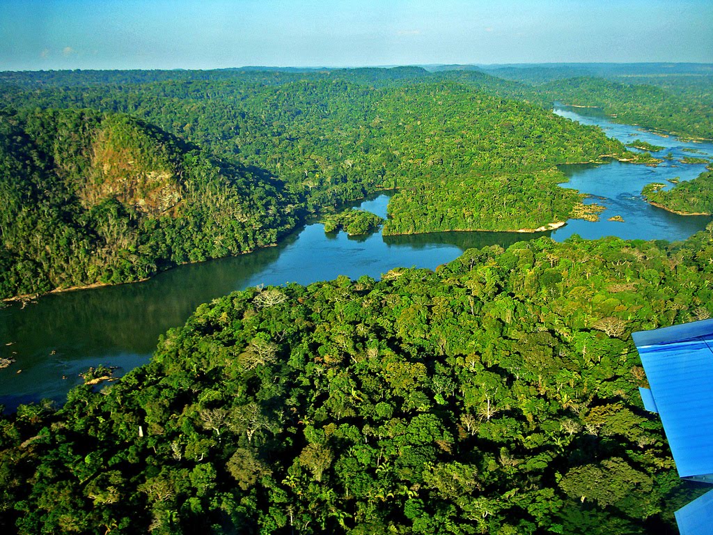 Viagens: 7 florestas tropicais ao redor do mundo que todo fã de natureza precisa conhecer
