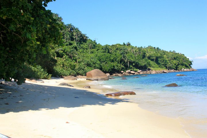 Ilha das Couves